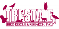 Tri-State Bird Rescue & Research, Inc.